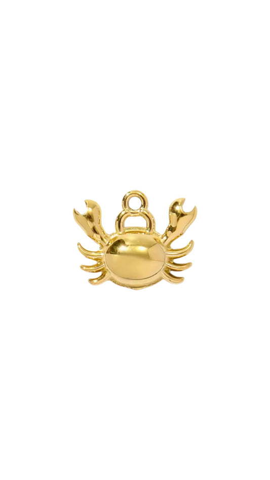 Charms #35