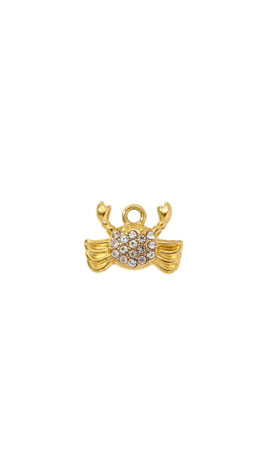 Charms #48